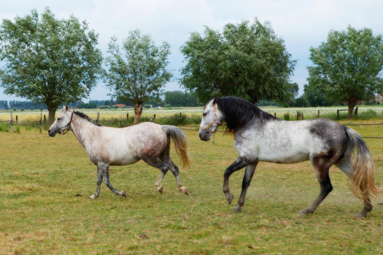 グルーデ Het Zoete Peerd Bed & Breakfast エクステリア 写真